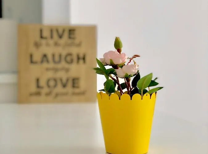 Apartman Emerald Onix Mamaia Năvodari